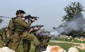 Tentara Zionis Tembaki Warga Palestina yang Coba Padamkan Ladang yang Dibakar Pemukim Yahudi